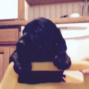 Meet your Posher, Thomas